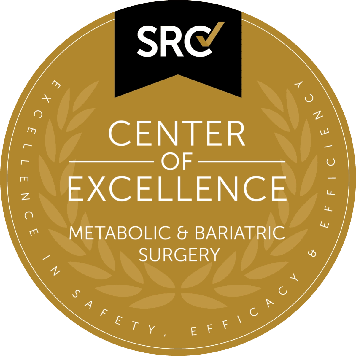 SRC Center of Excellence in Metabolic & Bariatric Surgery Seal SRC Center of Excellence in Metabolic & Bariatric Surgery Seal